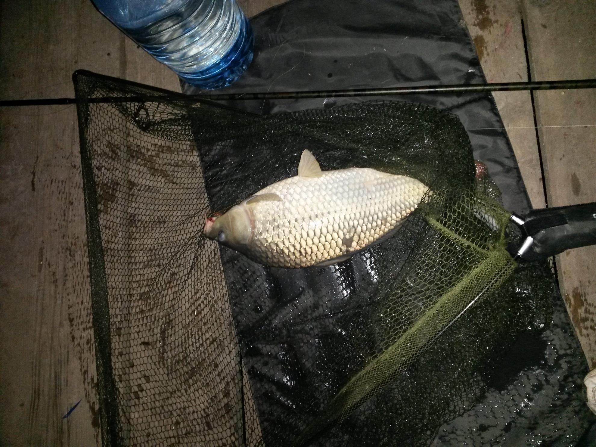 Magura 9 22 - 23 august 2014 - 20140823055812.jpg